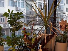 -懒人盐府人家(航天桥店)