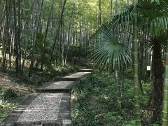 -南山风景名胜区