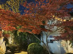 -山塘街
