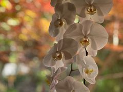 -湖滨客舍·湖北菜