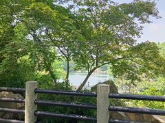 -白马涧龙池景区