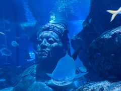 -暹罗海洋世界