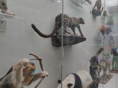 -国家自然博物馆