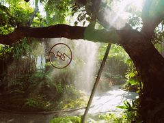 -Chom Cafe and Restaurant