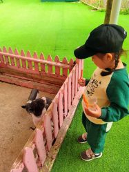 -萌宠亲子动物乐园(槐房万达店)