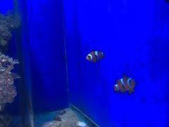 -常州海昌海洋探索馆