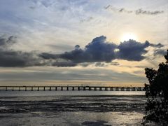 -宝安西湾红树林湿地公园