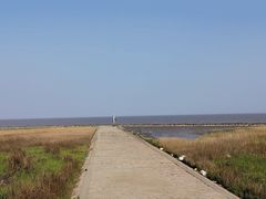 -南汇嘴观海公园