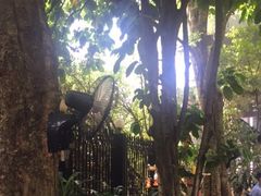 -Fern Forest Cafe