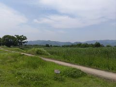 -良渚古城遗址公园