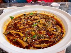 情妹耙泥鳅-情妹耙泥鳅·江湖川菜(科华店)