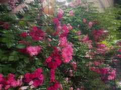 -花迹(富春江东街店)