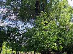 -鄂尔多斯野生动物园