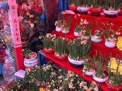 -越秀西湖花市(广州城市广场花卉店)