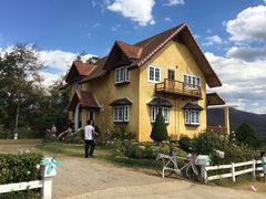 -黄色小屋