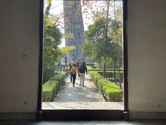 -上海佘山国家森林公园天马山园