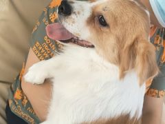 -宠颐生中康贝怡动物医院