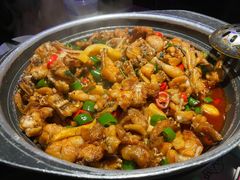 青椒紫苏味-蛙小侠·沸腾砂锅牛蛙(增城东汇城店)