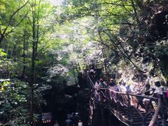 -藏龙百瀑风景区