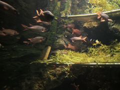 -太平洋海底世界