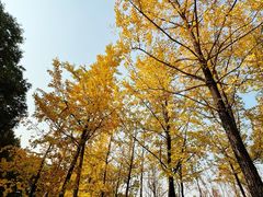 -重庆中央公园(渝北区)