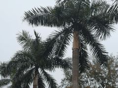 -广州市白云山风景名胜区
