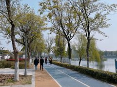 -葛仙湖公园