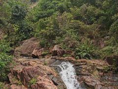 -广州白江湖森林公园