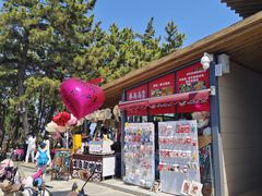 -养马岛旅游度假区