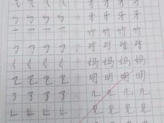 -赵汝飞练字硬笔书法(航头校区)