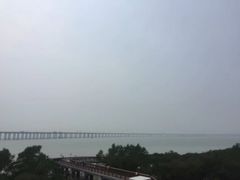 -宝安西湾红树林湿地公园