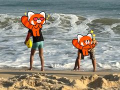 -大梅沙海滨公园