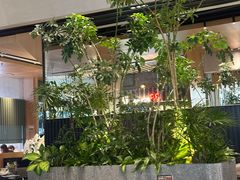 -gaga(深圳福田星河COCO Park店)