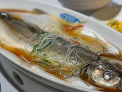 清蒸江南白鱼-翡翠江南(国贸商城店)