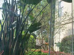 -海兰云天度假区温泉