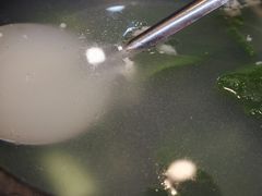 -广迎居老正兴菜馆