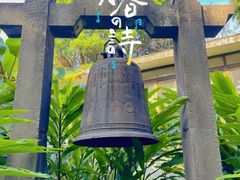 -广州兰圃