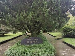 -西南交通大学(峨眉校区)