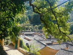 -杨家堂村