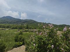 -白草畔自然风景区