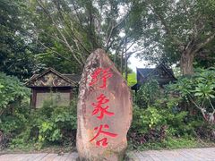 -野象谷景区