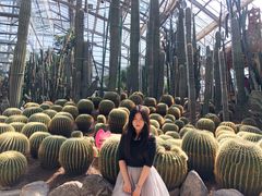 -南山植物园