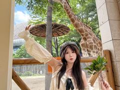-灵玲国际马戏城