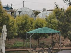 -紫颐香薰山谷景区