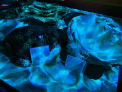 -敦煌石窟文物保护研究陈列中心