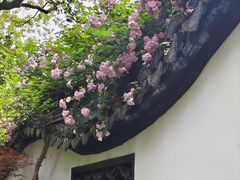 -绮园景区