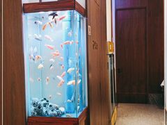 -半勺·新徽菜(银泰城店)