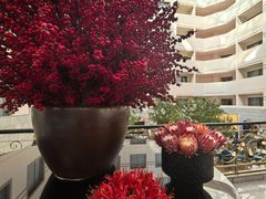 -北京宝辰饭店·明苑咖啡厅