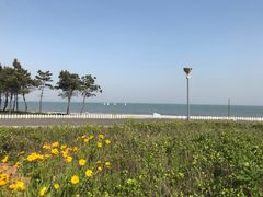 -青岛海泉湾皇冠假日度假酒店