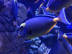 -成都浩海立方海洋公园